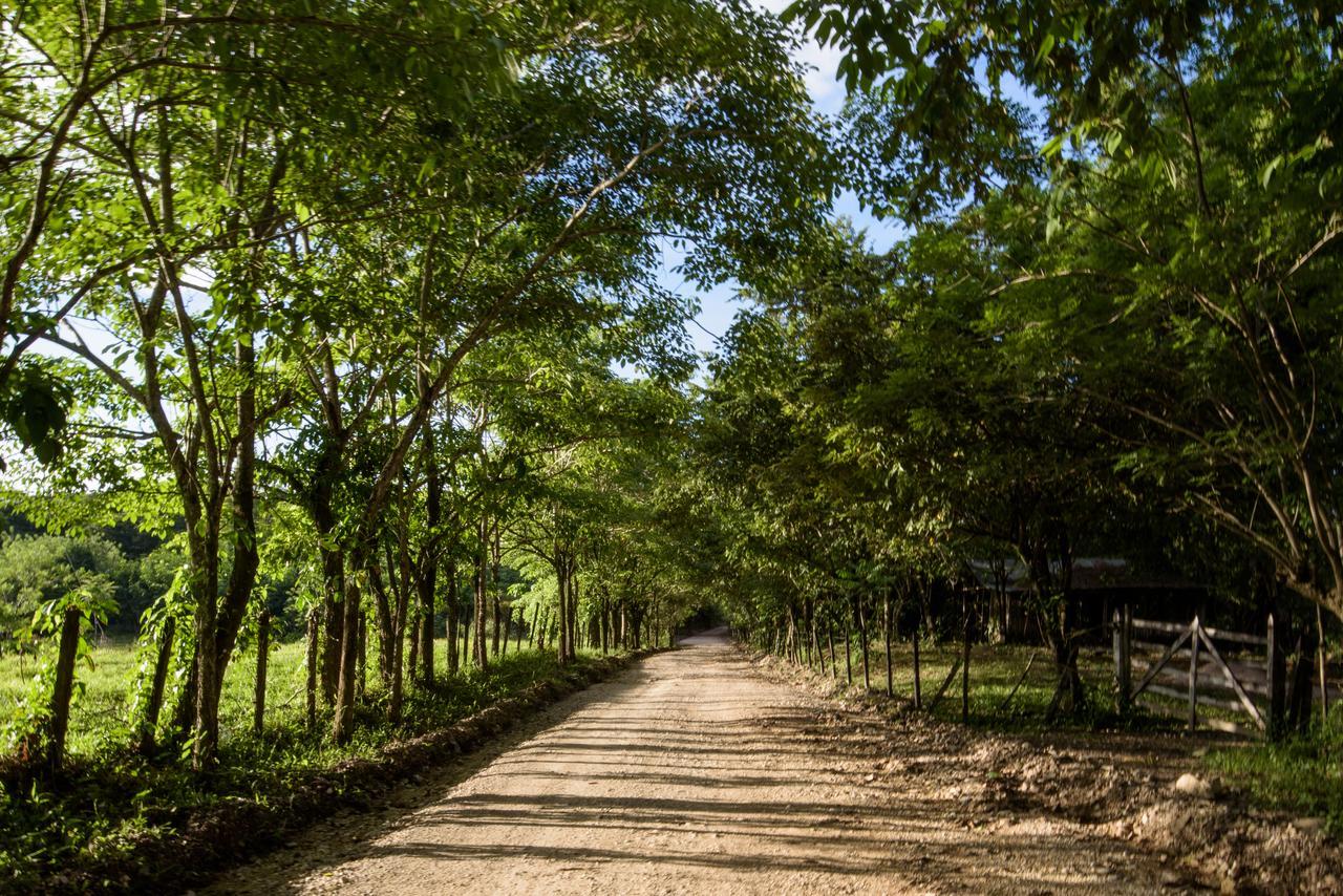 Villas Adriana, Palenque Eksteriør billede
